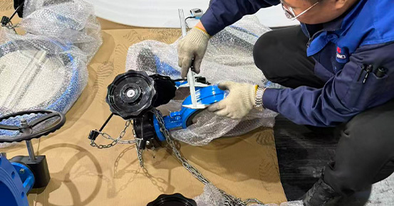 Preshipment Inspection in Progress for 2.5tph North Africa Turnkey Project